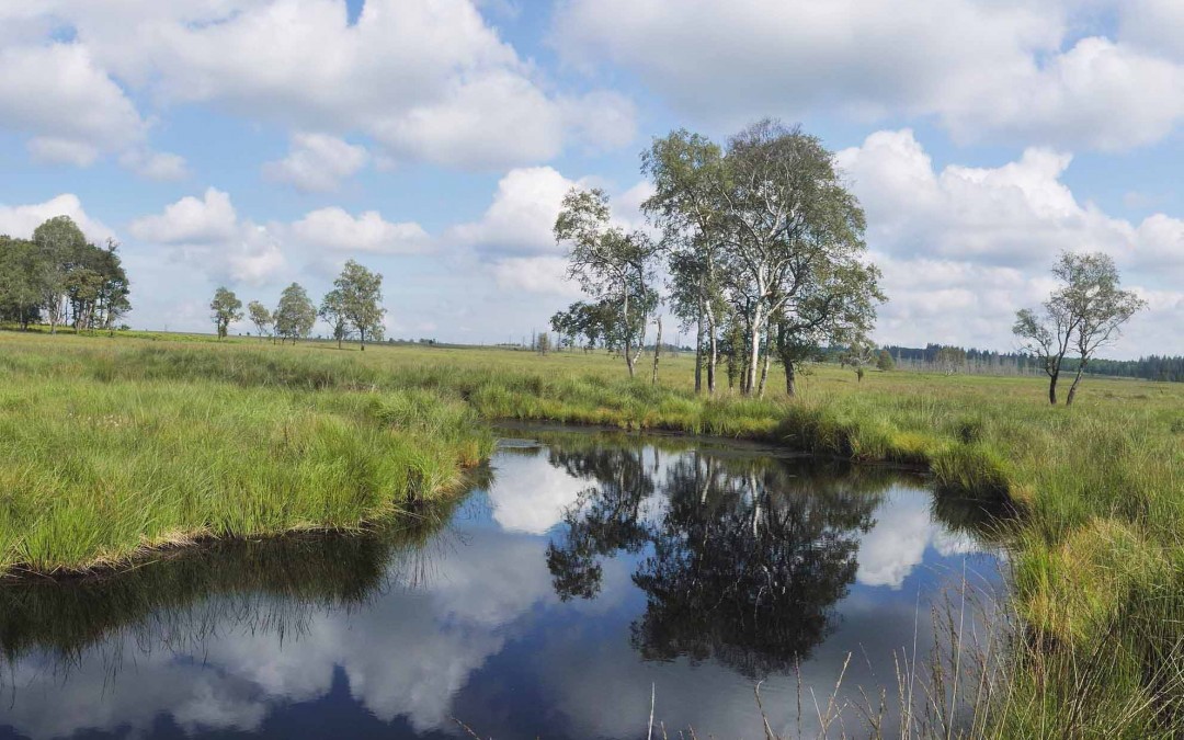Paysage